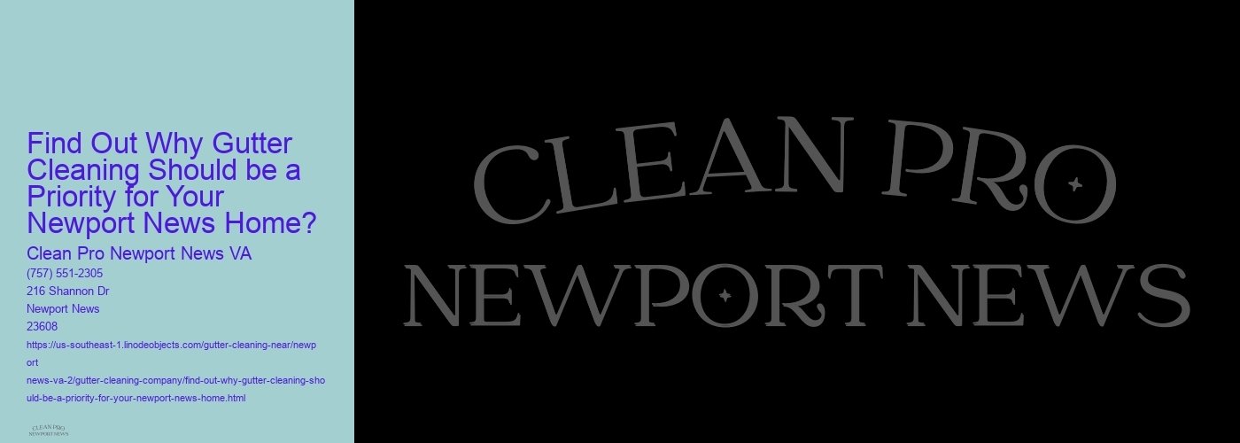Find Out Why Gutter Cleaning Should be a Priority for Your Newport News Home?